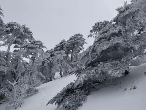 揭秘《以雪居之地》超级必杀技成就解锁的奥秘（探索游戏中的隐藏技能，突破极限，获取成就）