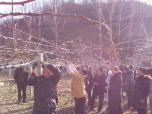 学习技能脱贫攻略（通过学习技能实现贫困家庭的脱贫致富）