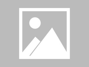剑魂战宠技能书增加攻略（学会如何通过技能书提升剑魂战宠的攻击力和技能效果！）