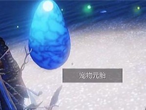 《山海星石大冒险》——探索星石的神秘之旅（寻找星石的方法与地点详解）