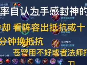 新版宫本肉装铭文出装攻略（全新铭文搭配让宫本更具侵略性）