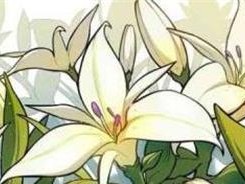 原神花离散剧情攻略（揭秘花离散剧情，探索原神世界的奥秘）