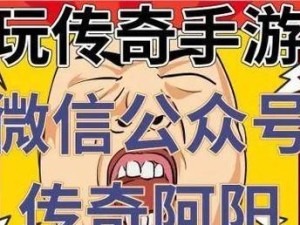 元气塔塔游戏攻略（从新手到高手，轻松驾驭元气塔塔的15个必备技巧与策略！）