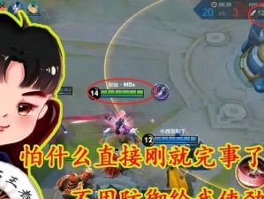 《破野反野，助小明雄图天下——反野辅助小明出装攻略》（如何用反野辅助小明出装，提升游戏胜率？）