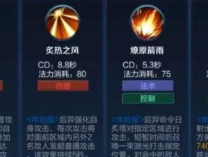 王者攻略（职业选手教你如何选择适合后羿的装备搭配）