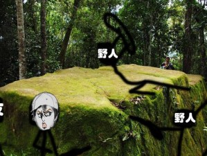 探索抽象荒野求生游戏的攻略宝典（在这个虚幻世界中生存下来的关键技巧）