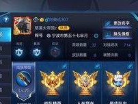 王者荣耀怎么隐藏性别,揭秘隐藏性别的神秘技巧
