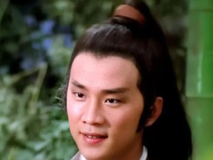 《大老爷武功心法大全》-强力武学游戏推荐（成为最强的武林高手，掌握无敌武学功夫！）