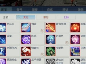 诛仙天华攻略（学会合理配置技能点，成就天华大师）