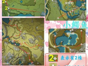 原神打怪新手攻略（探索世界，战胜怪物，解锁奇迹的关键指南）