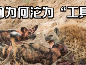 《揭秘网游游戏生死拔河攻略》（探寻胜利关键，玩转战斗策略）