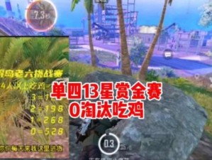《和平精英》赏金值获取指南（通过游戏任务、商城购买、活动参与等多种方式获取赏金值）
