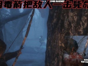 古墓丽影（发掘劲敌弱点，成为顶级暗杀者）