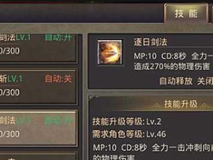 传奇战士初级技能加点攻略（玩转传奇战士，优化初级技能加点分配）
