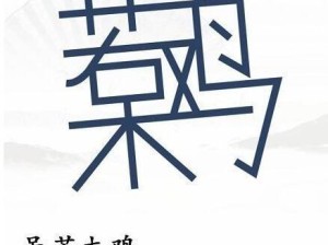 《汉字找茬王》19个字通关攻略解析抖音（一步步教你如何轻松通过游戏）