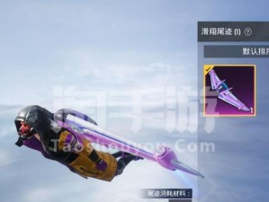 和平精英炫紫旋律飞行器价格详解（一辆炫酷的交通工具，你值得拥有！）